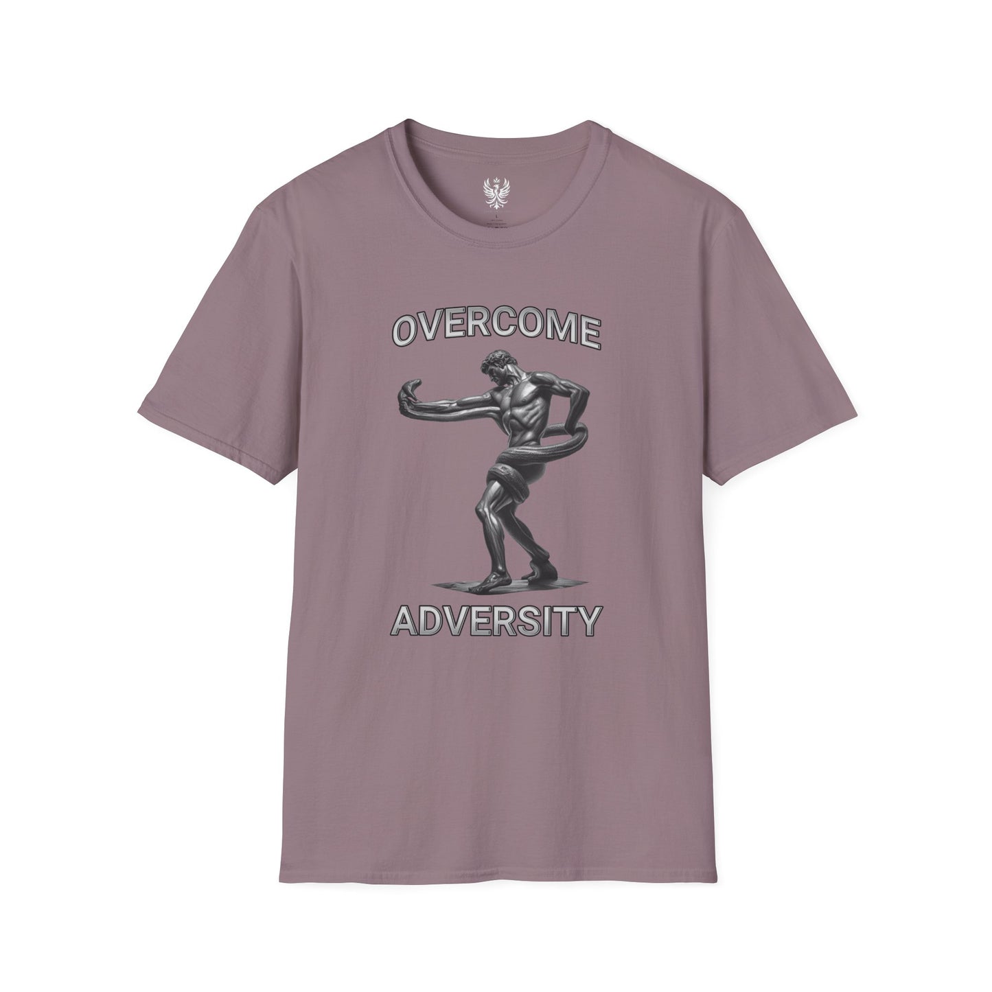 Overcome Adversity