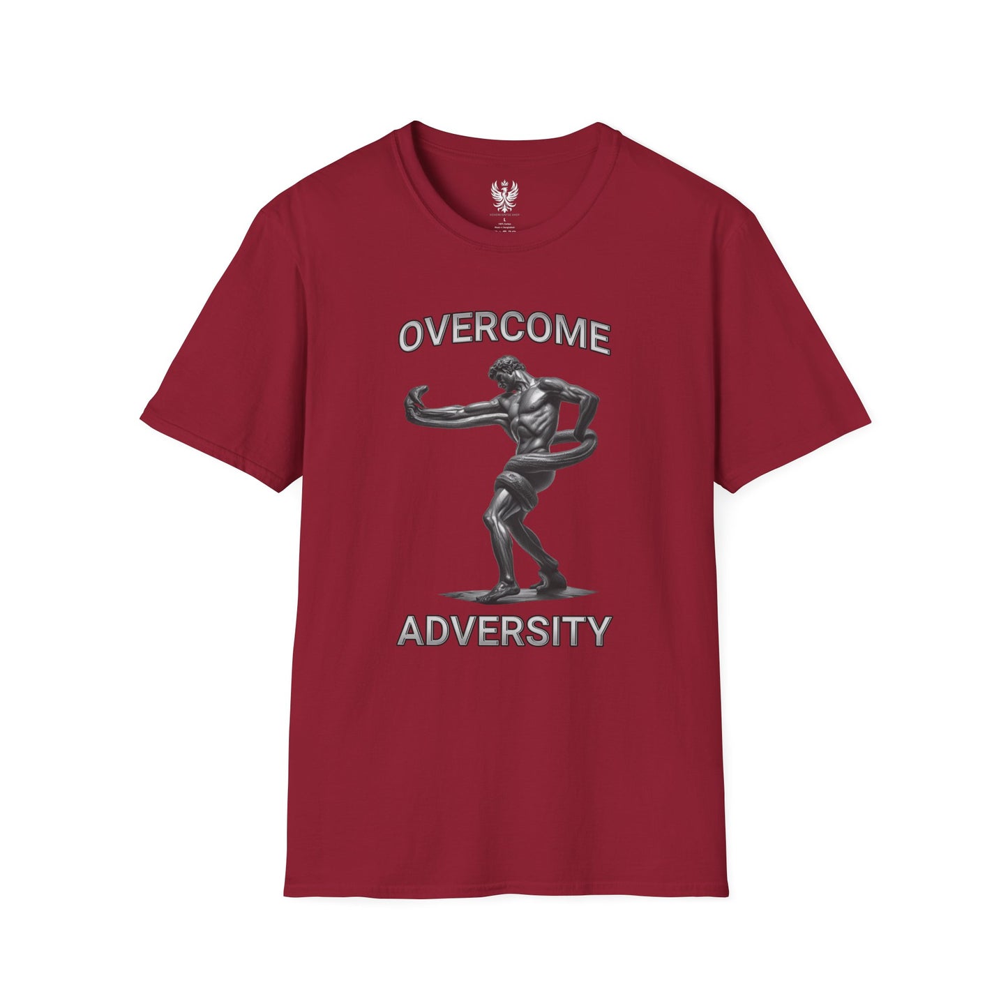 Overcome Adversity